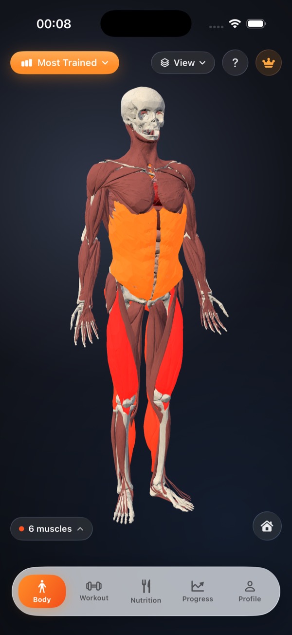 A calm anatomical view of your body